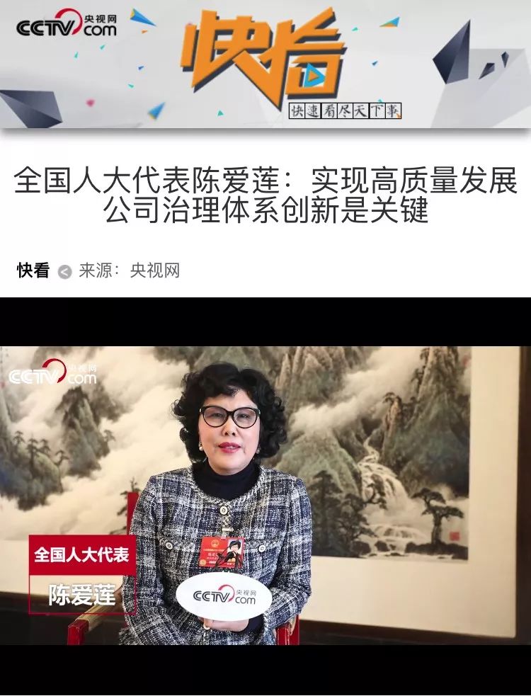 【央視網】李藝連代表：實現高質量發展 公司治理體系創新是關鍵